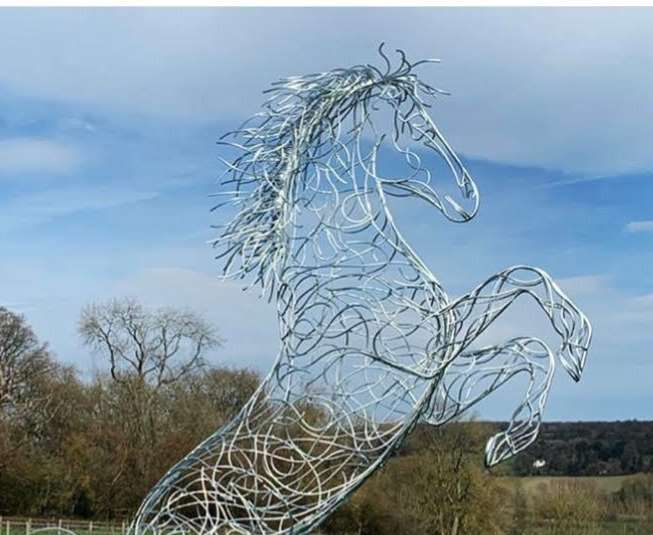 Straight From The Horses Mouth Design