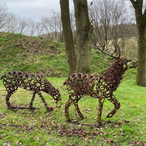 Stag And Doe Roaming