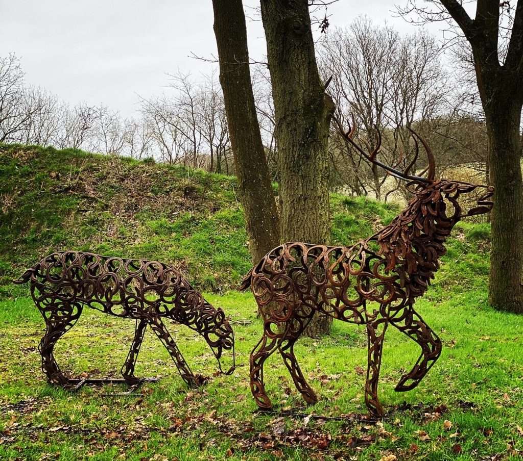 Stag Leading A Doe