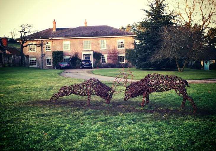 Two Stags Fighting