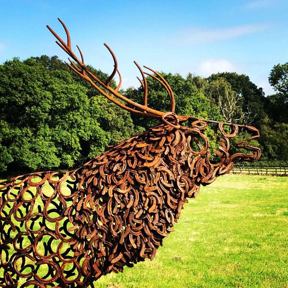 Close Up Of Horseshoe Stag
