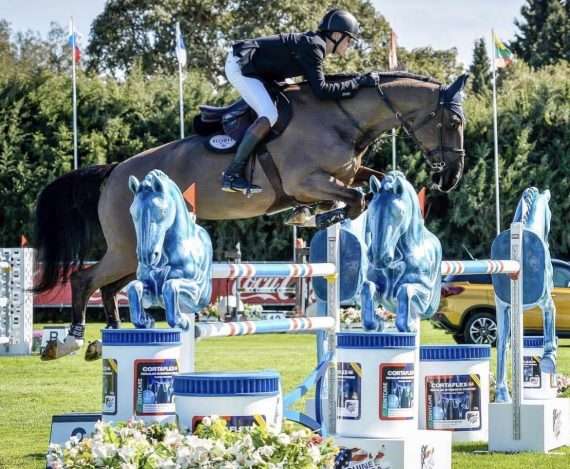 Man Showjumping On A Brown Horse