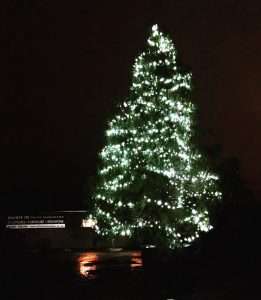 Christmas Tree