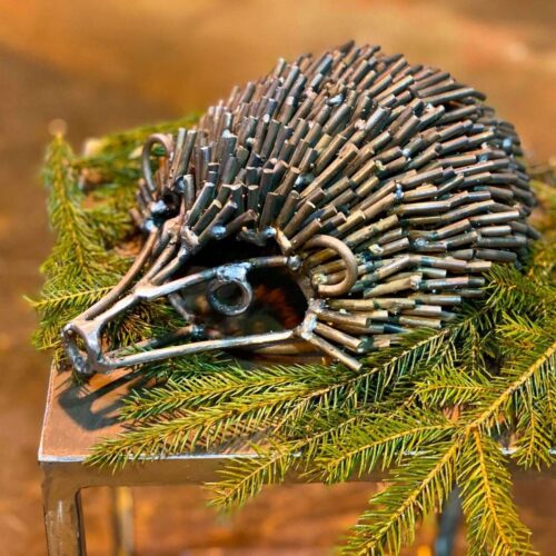 Hedgehog