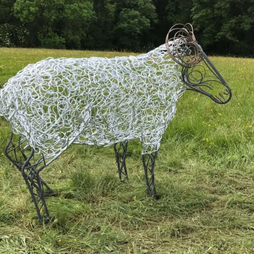 Ram Sheep With Bronze Horns