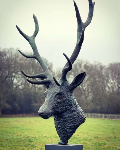 stag head sculpture