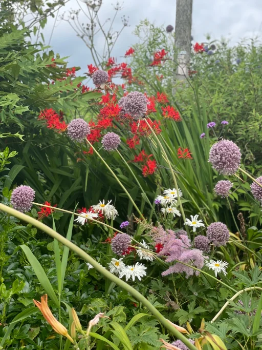 Image of a garden