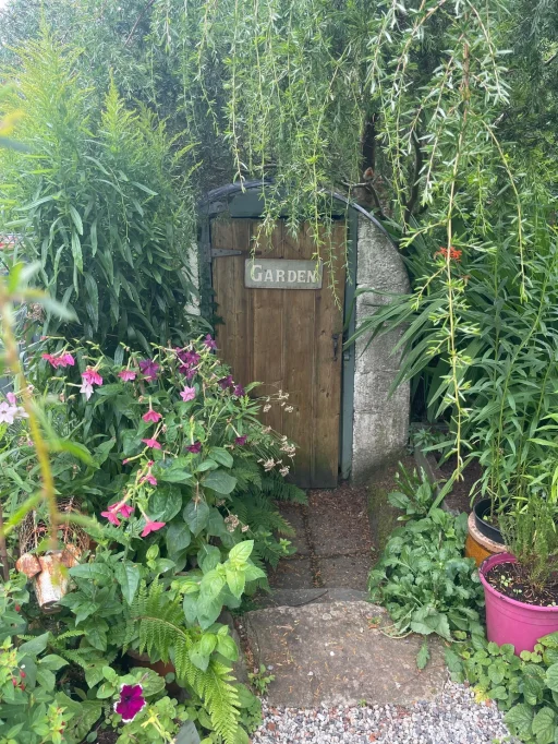 Image of a garden