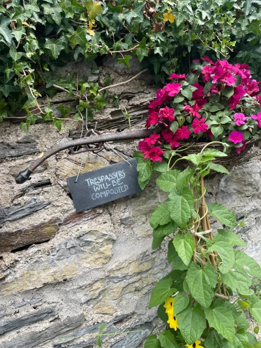 Image of a plaque