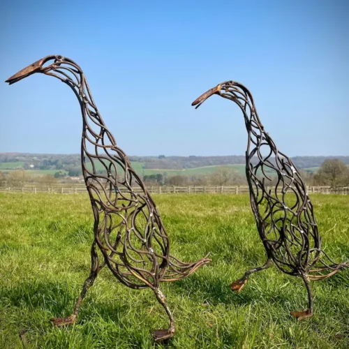 Indian Runner Ducks