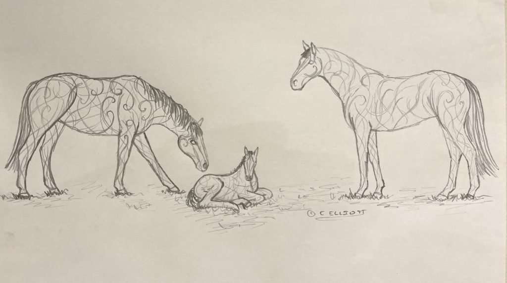 sketch of two horses and a baby horse