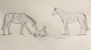 sketch of two horses and a baby horse