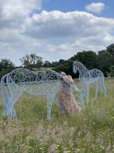 dressage horse sculptures