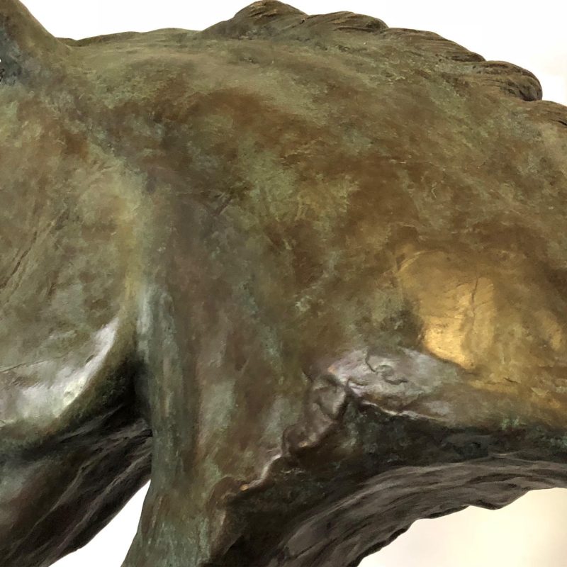 Arab Horse Head 1 - Copy