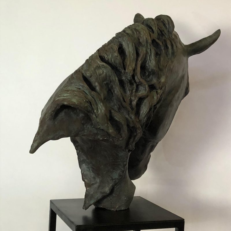 Arab Horse Head 3 - Copy