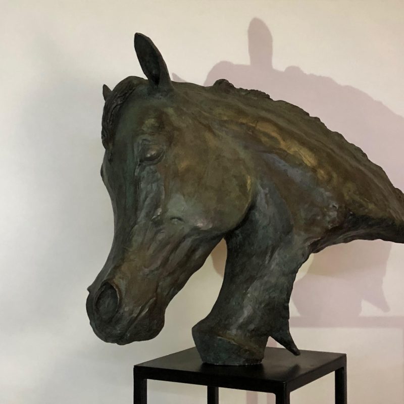 Arab Horse Head 6 - Copy