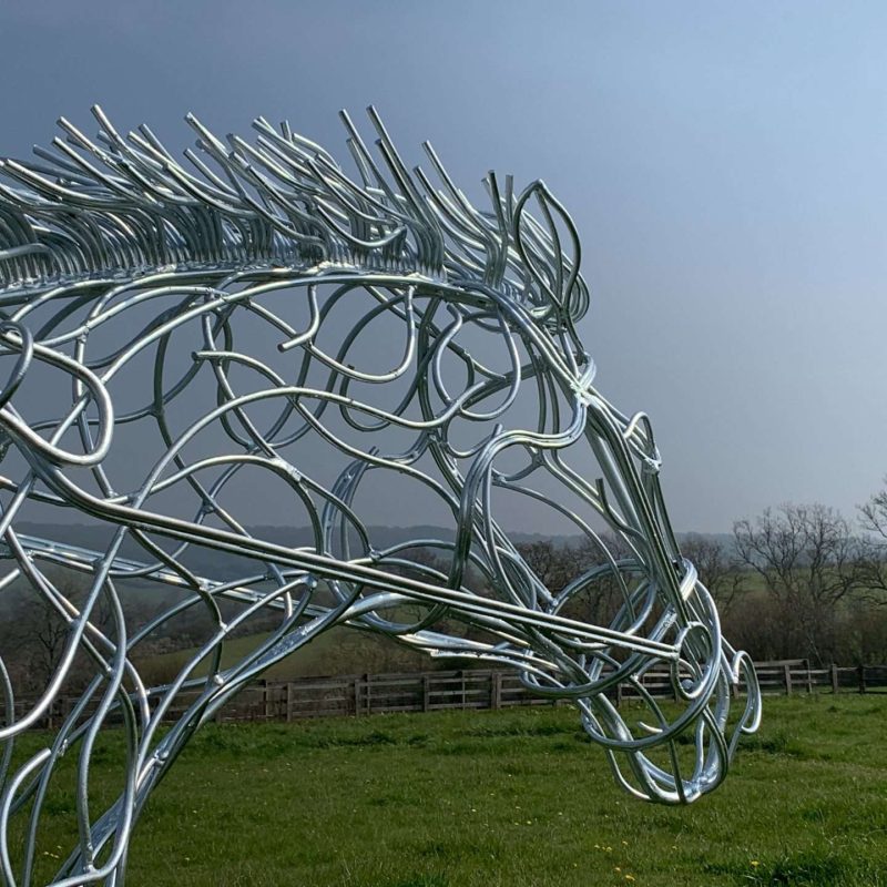 Close Up Of At Full Stretch Horse