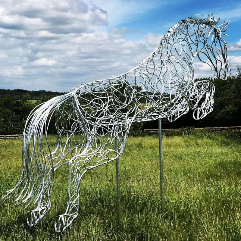 Blue Memory Jumping Horse In A Large Field