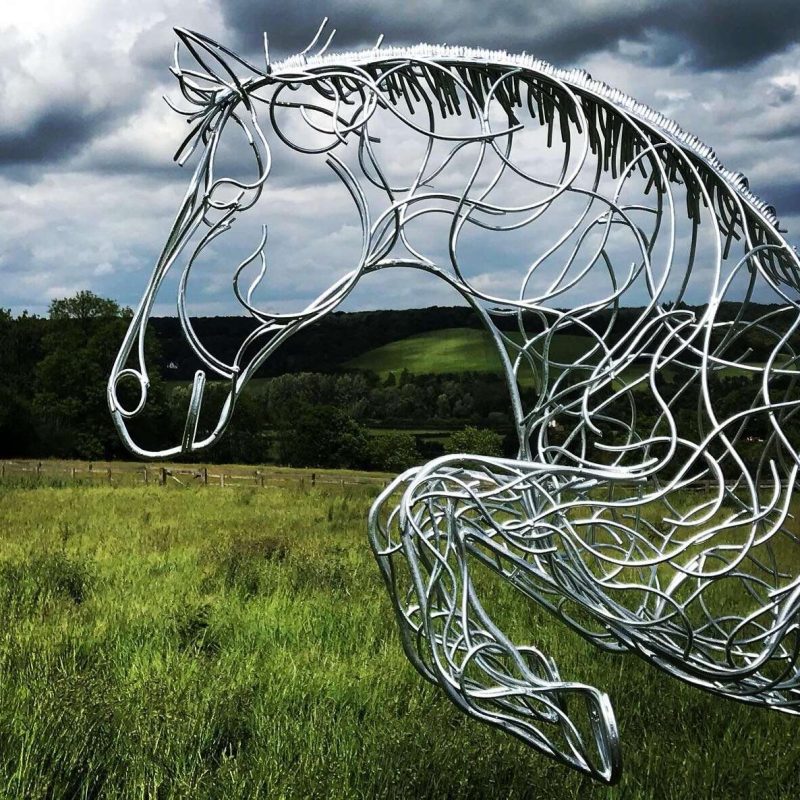 Blue Memory Jumping Horse On A Cloudy Day