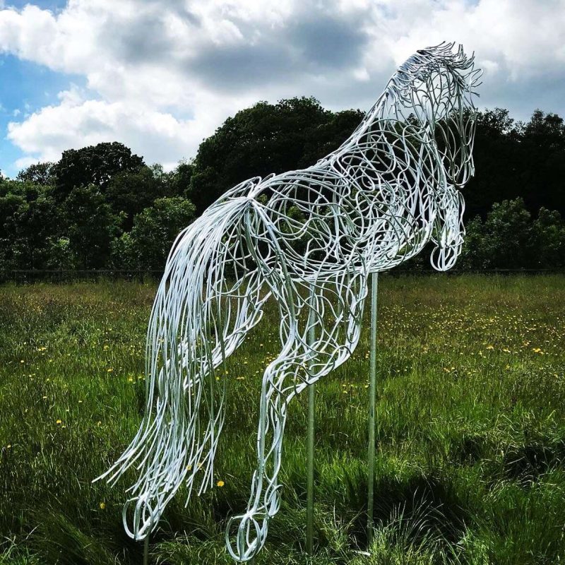 Back of Blue Memory Jumping Horse