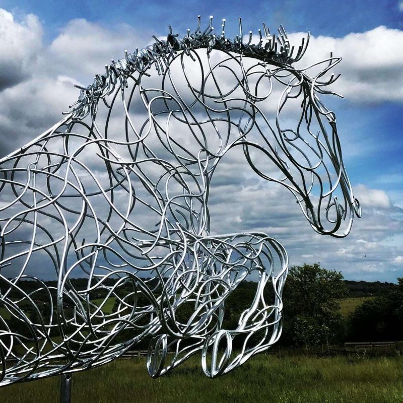 Head Of Blue Memory Jumping Horse