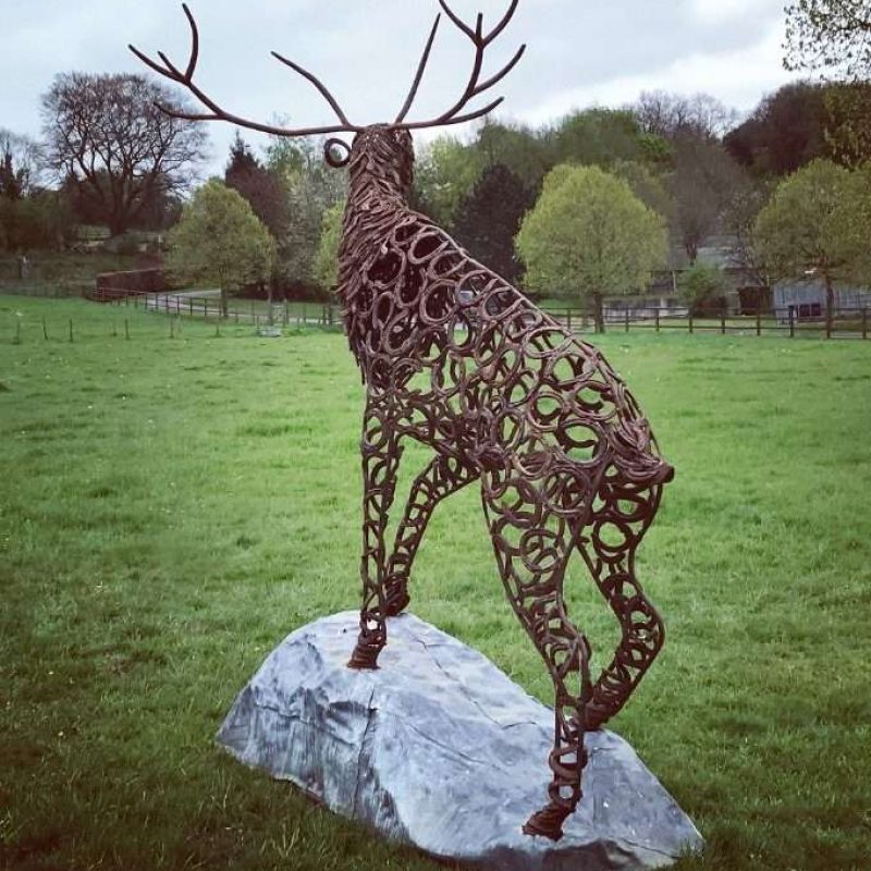 BACK VIEW OF CLIMBING STAG BELLOW