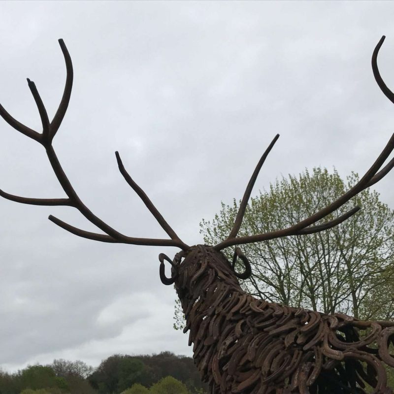 CLIMBING STAG BELLOW DESIGN