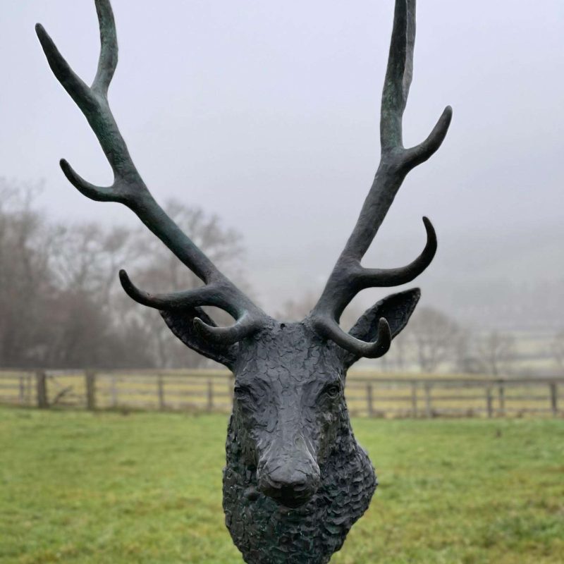 big stag head bronze looking straight