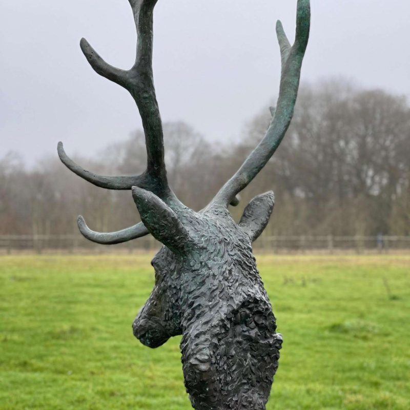 big stag head bronze looking behind
