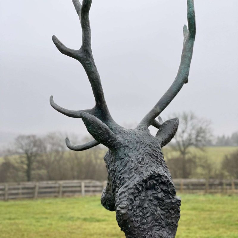 big stag head bronze looking behind