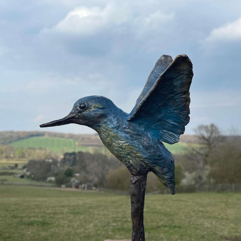 Full colour kingfisher in flight