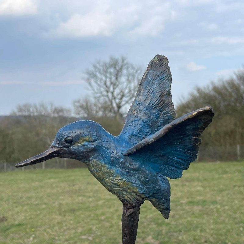 Kingfisher in flight