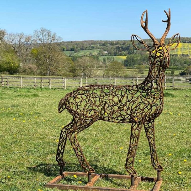 Roe Deer from the back