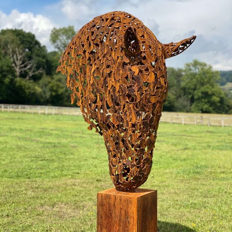 Rustic Horse Head In Large Field