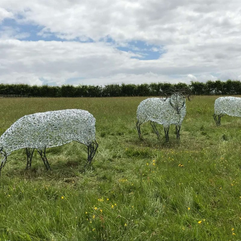 Three Sheep Sculptures