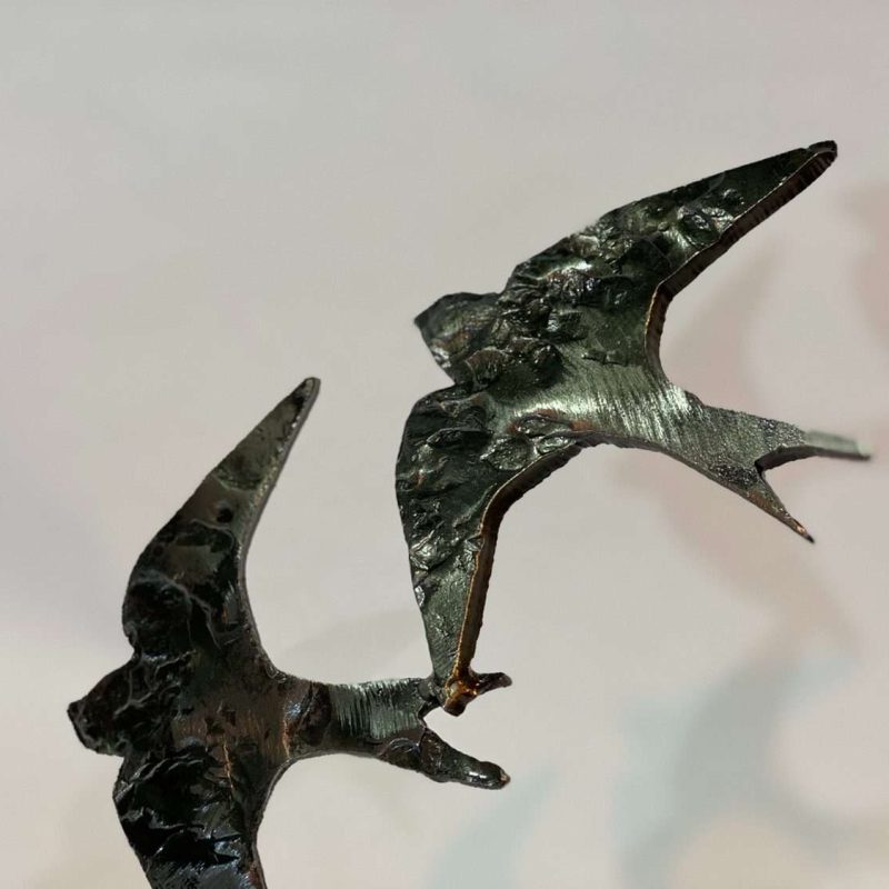 close up of Swifts in Flight