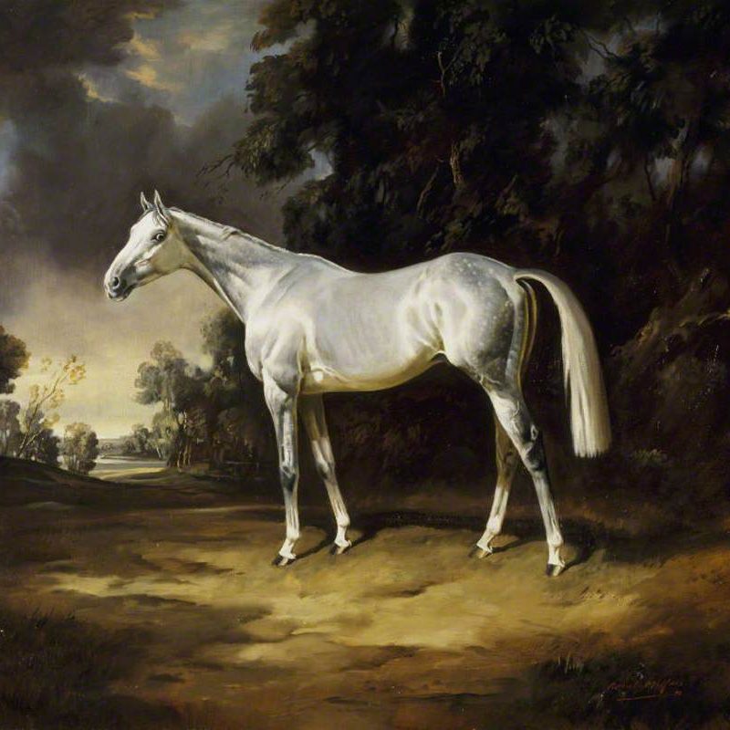 Millais, Raoul; 'Colonist II', Sir Winston's Grey Colt; National Trust, Chartwell; http://www.artuk.org/artworks/colonist-ii-sir-winstons-grey-colt-218593