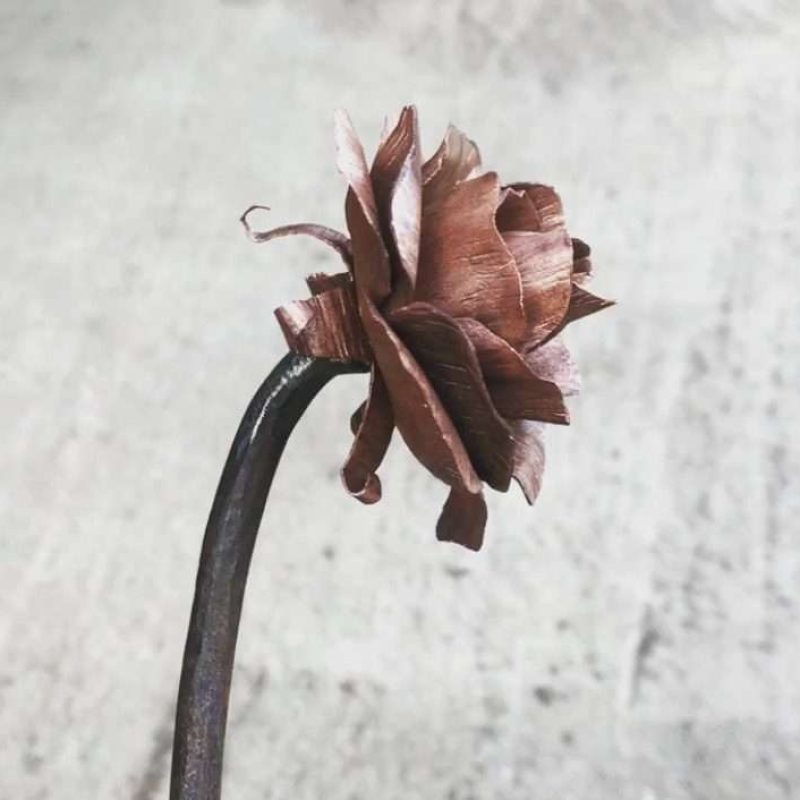Copper Rose Side View