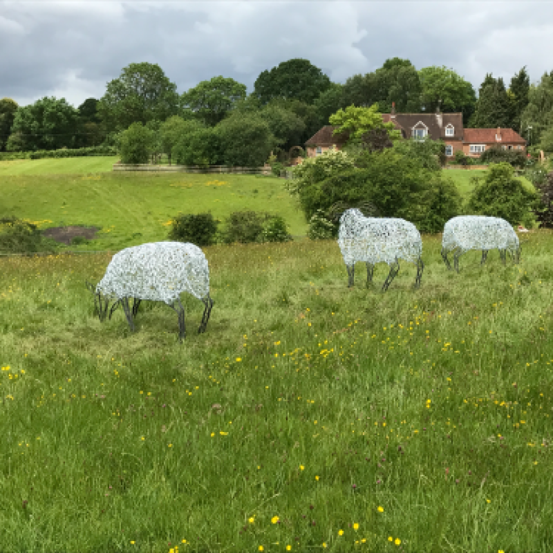 Ram & Sheep Sculpture - Flock