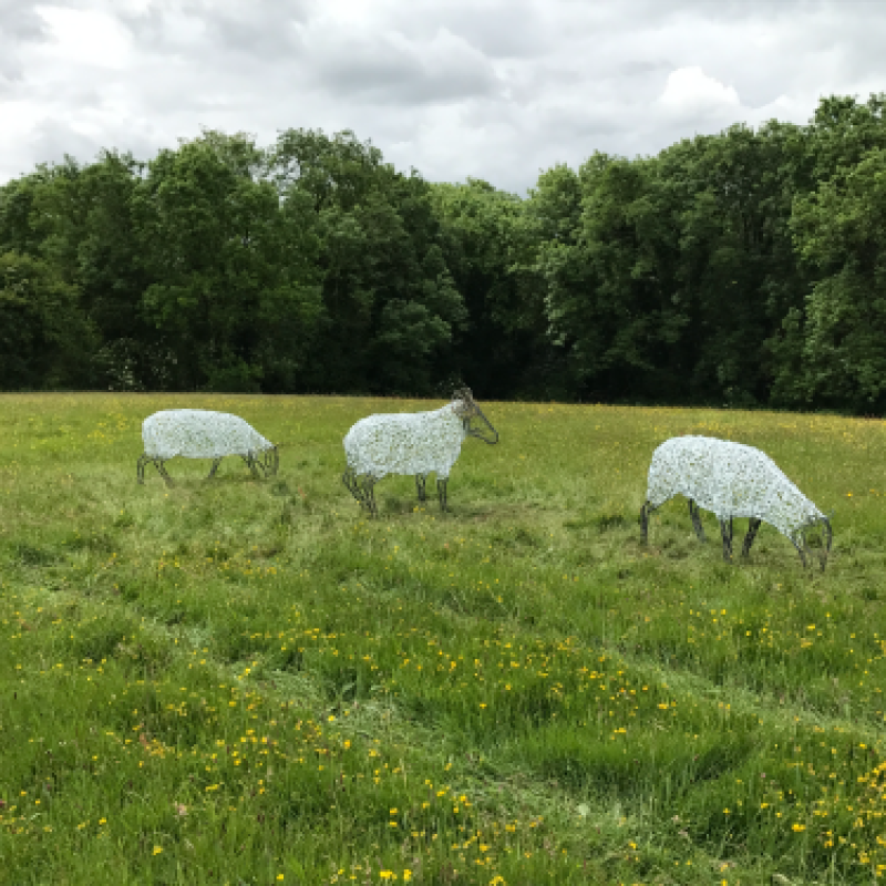 Ram & Sheep Sculpture - Flock