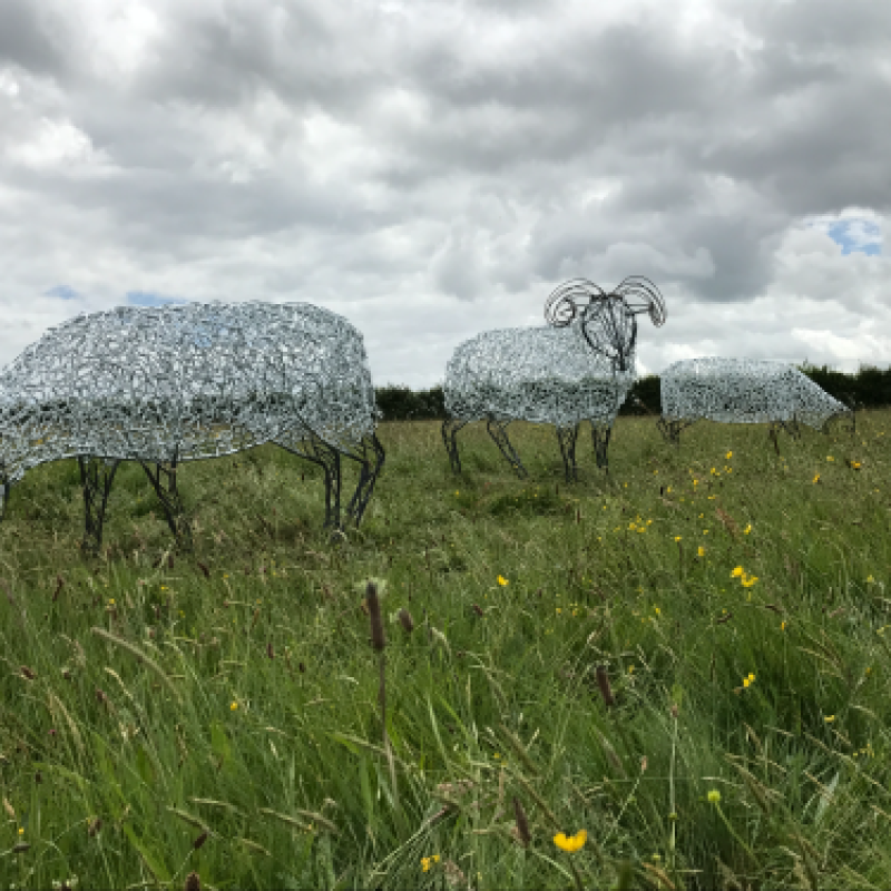 Ram & Sheep Sculpture - Flock