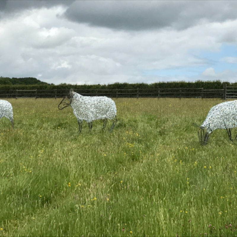Ram & Sheep Sculpture - Flock