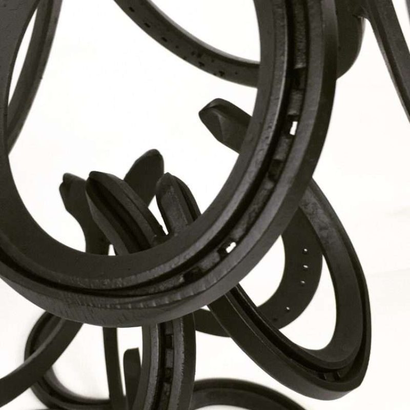 Details of Horseshoes