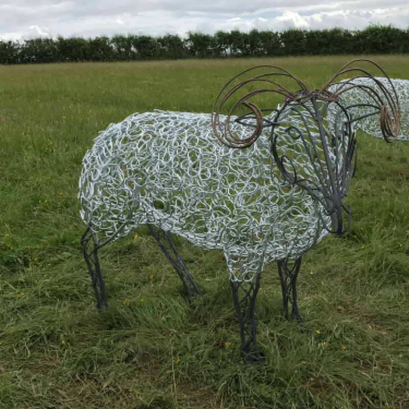 Ram & Sheep Sculpture - Flock