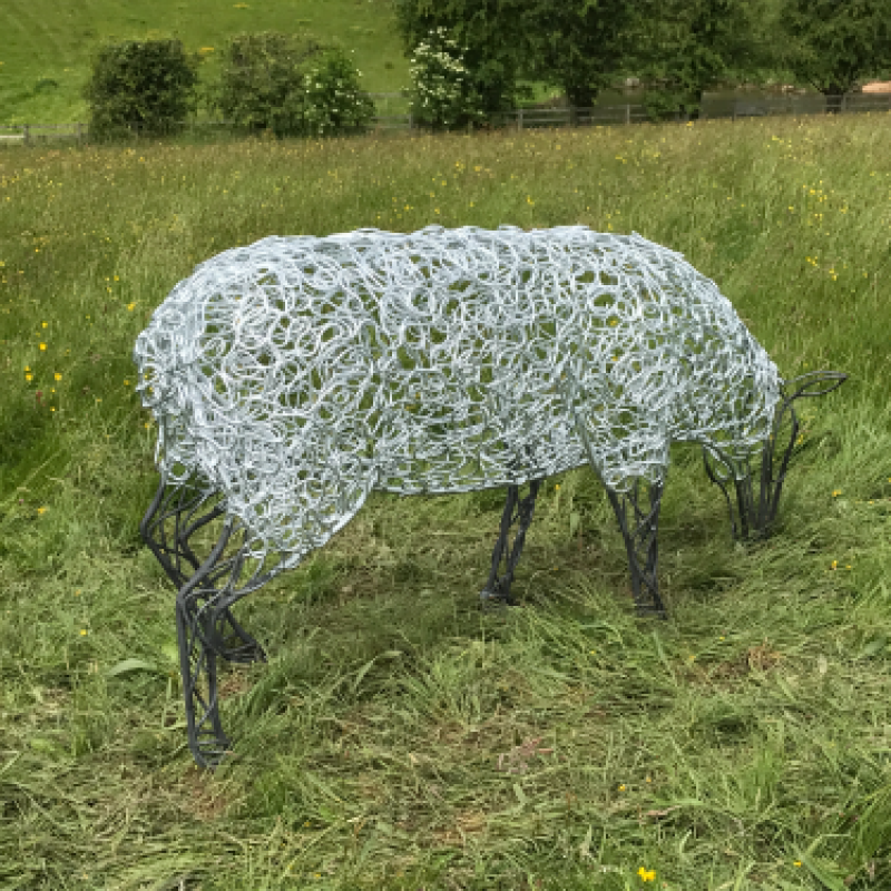 Ram & Sheep Sculpture - Flock