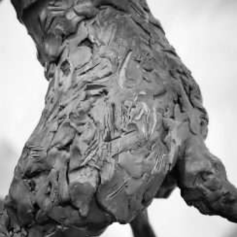 Boxing Hares 2020 texture