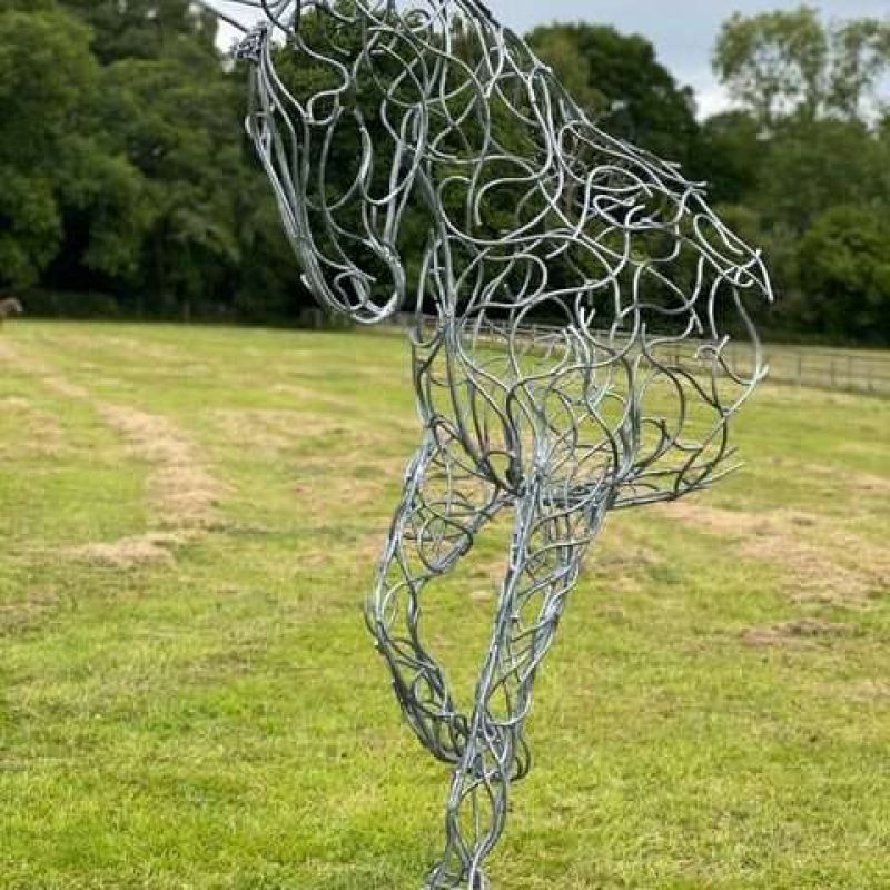 silver half horse design in field