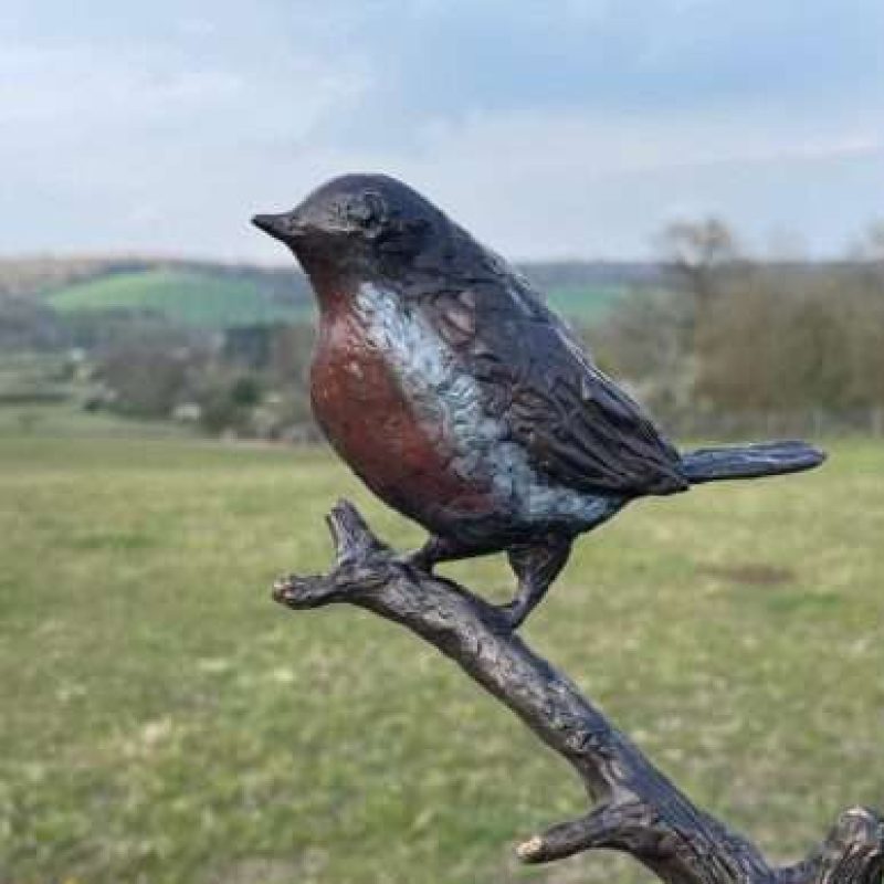 Side View of Red Robin