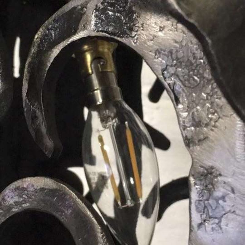 Lightbulb Inside of Horse Head