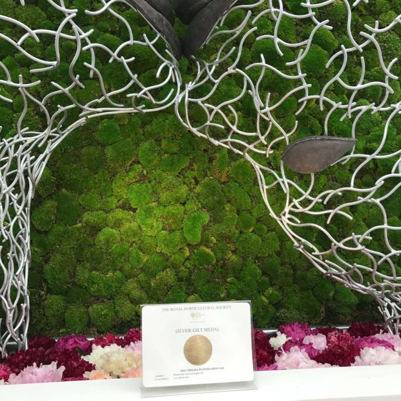 Two Faces Structure Design